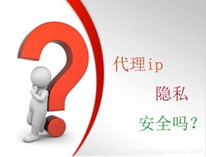 代理IP对维护安全隐私的重要性及应用于票务代理服务